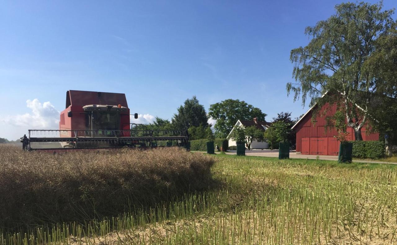 Lyckas Gards Gastboende Höganäs Exterior foto