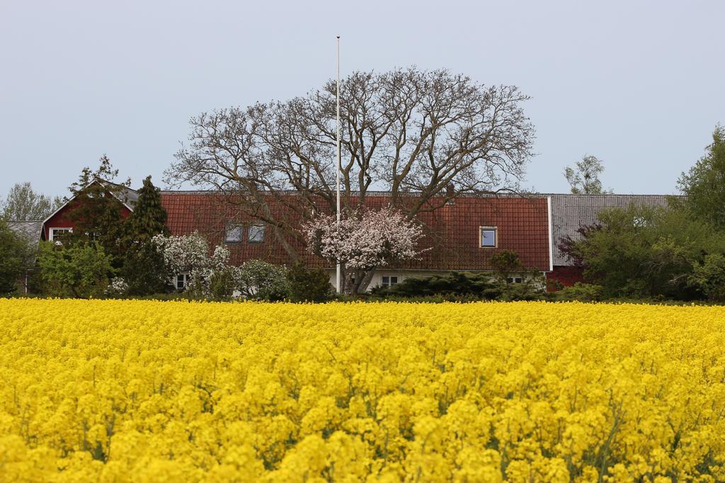 Lyckas Gards Gastboende Höganäs Exterior foto