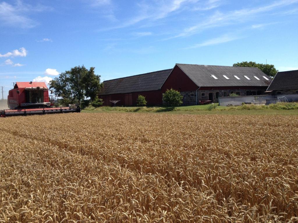 Lyckas Gards Gastboende Höganäs Exterior foto