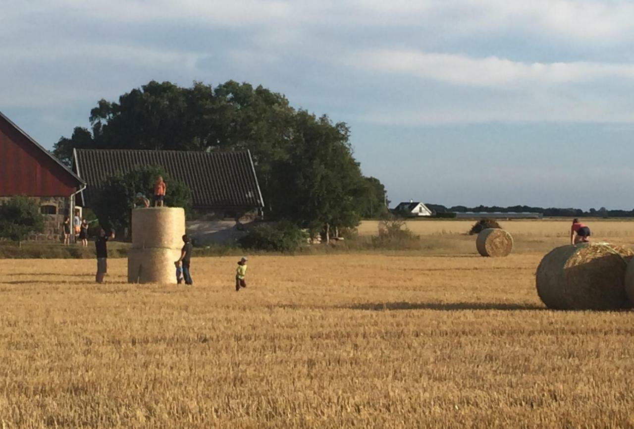 Lyckas Gards Gastboende Höganäs Exterior foto